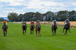070826-Race 4-Azuinthejungle-1817