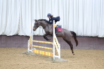 Class 3 - Pony Discovery - 90cm portfolio