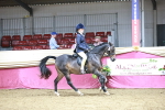 SBM_08029