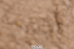 240121A-114951-00681