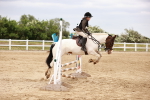 SBM_008667