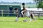SBM_11517