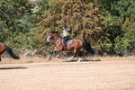 WJ6_7571