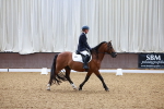 SBM_000086