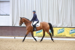 SBM_007447