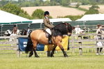 SBM_07027