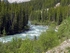 Athabasca River near Jasper (Canada)