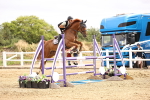 SBM_003376