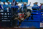 3HRodeo7-11-24_LJD_3HR2933_LJD