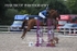 BPP_3032