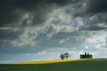 Rathcoffey House, Co Kildare