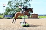 Cls 15-S Snr Foxhunter portfolio