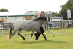 SBM_00409