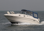 100424 MILDLY CHOPPY IMG_3816jpg