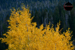 _DSC0618