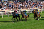 240726-Race 2-Vaguely Royal-0220