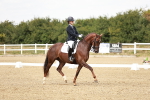 SBM_003831