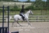 BPP_3453