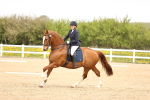 SBM_007456