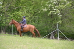 WJ6_1618