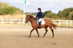 SBM_009357