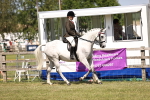 SBM_17992
