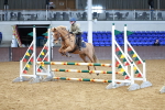 SBM_000657