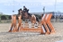 BPP_1637