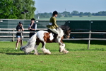 SBM_11604