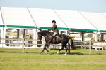 SBM_20105