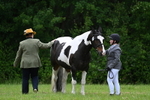 WJ7_4157