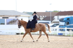 SBM_03244