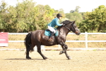 SBM_006409