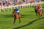 240726-Race 5-Diamond Rain-0544