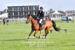 BPP_6371