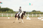 SBM_007137