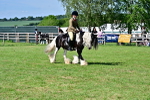 SBM_09371
