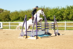 SBM_001630