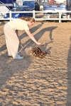 SBM_09668