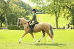 SBM_62653