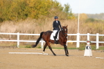 SBM_009254