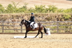 SBM_000742