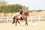 SBM_018148