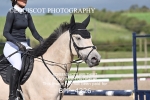 BPP_4326