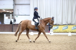 SBM_004552