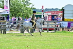 SBM_13930