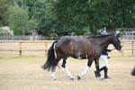 WJ6_7852