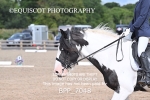 BPP_7048