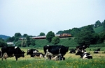 5th June 2010