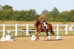 SBM_010452